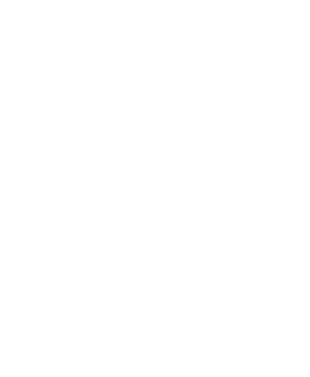 SOC2 T2 – white
